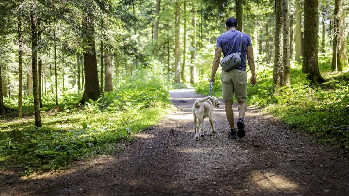 man walks dog on hiking trail