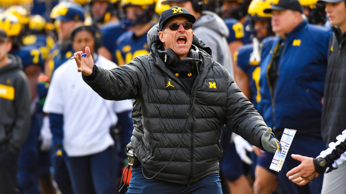 Jim Harbaugh yells on sideline