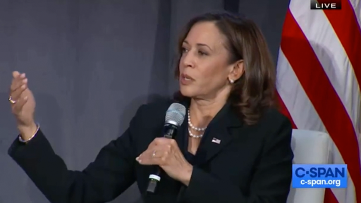 Kamala Harris ripped for claiming government's Hurricane Ian relief ...