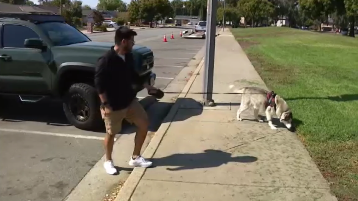 Loki the Alaskan Husky and David Espinal