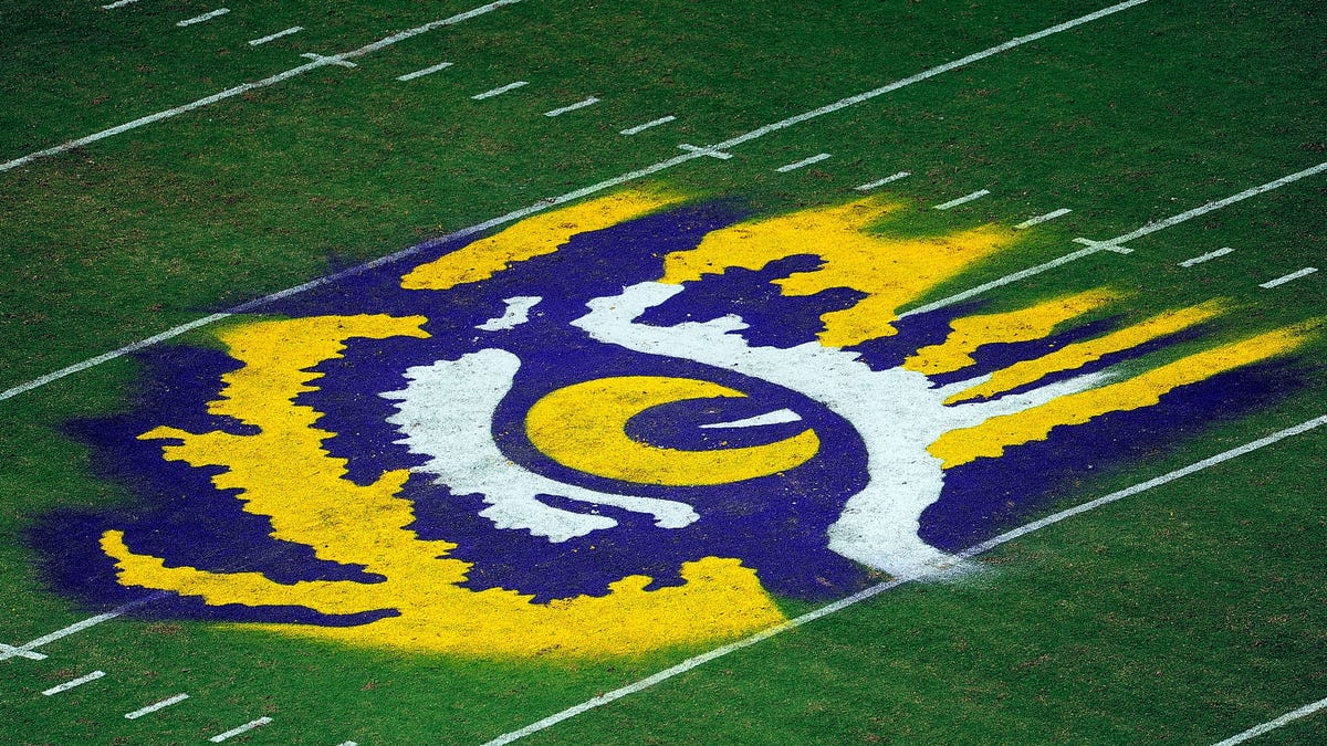 General view of LSU Tigers eye in logo