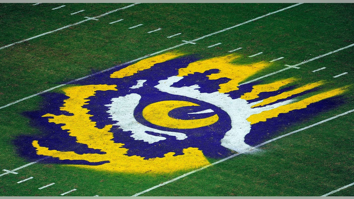 General view of LSU Tigers eye in logo