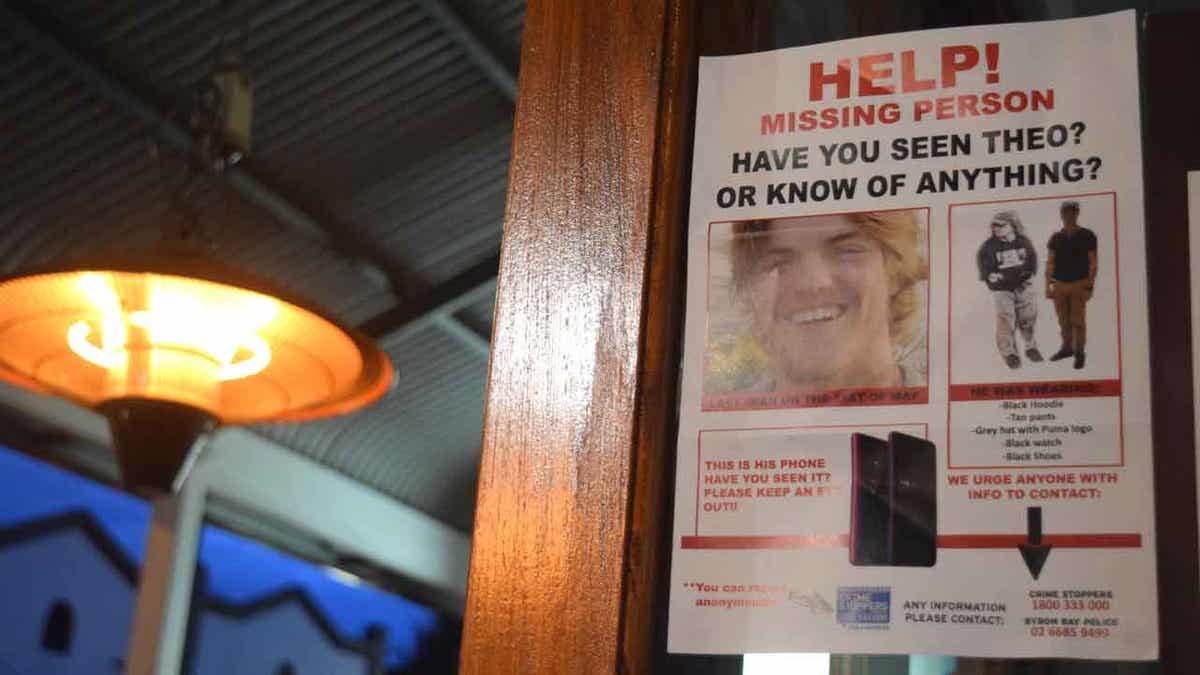 'missing person' poster for missing Theo