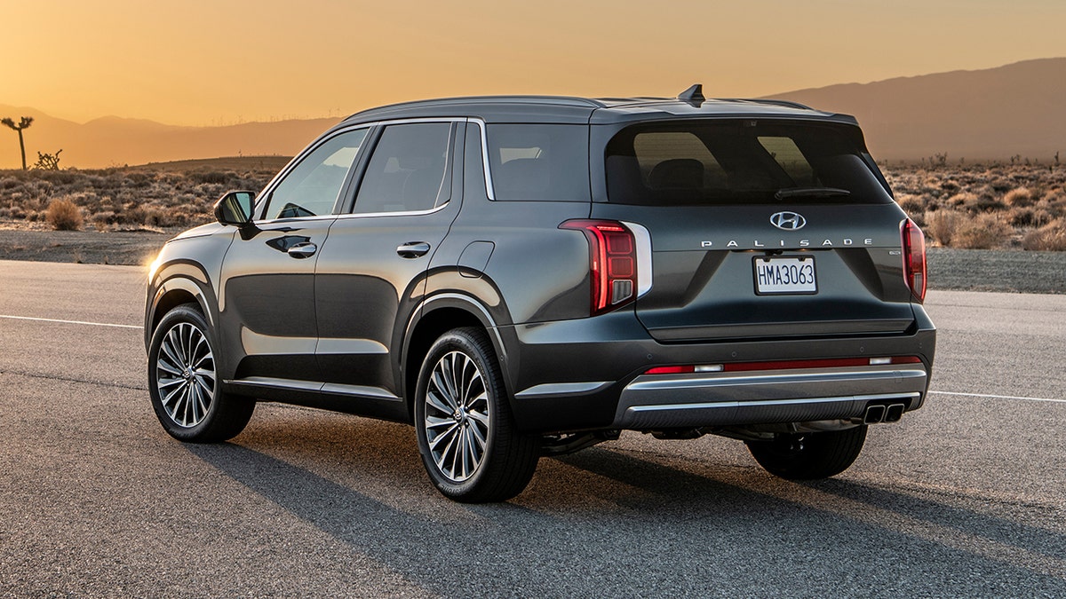 palisade rear
