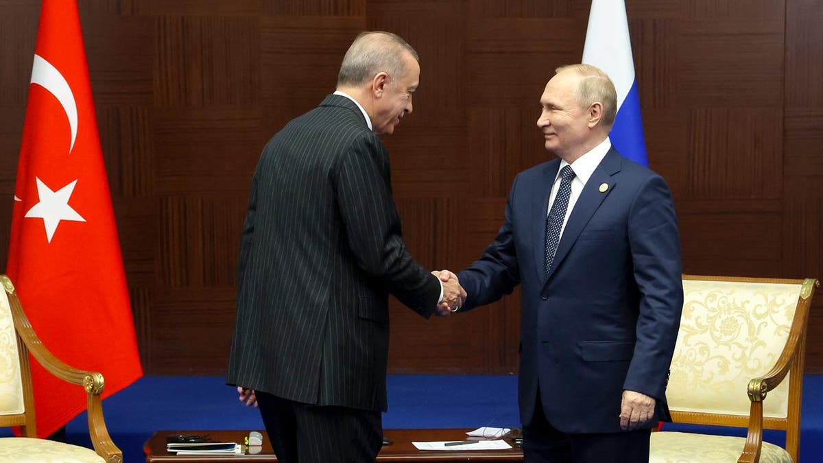 Vladimir Putin and Recep Tayyip