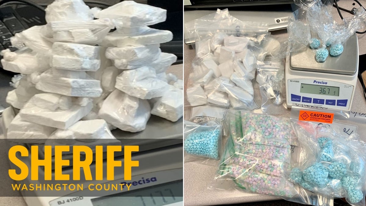 drugs seized on scale