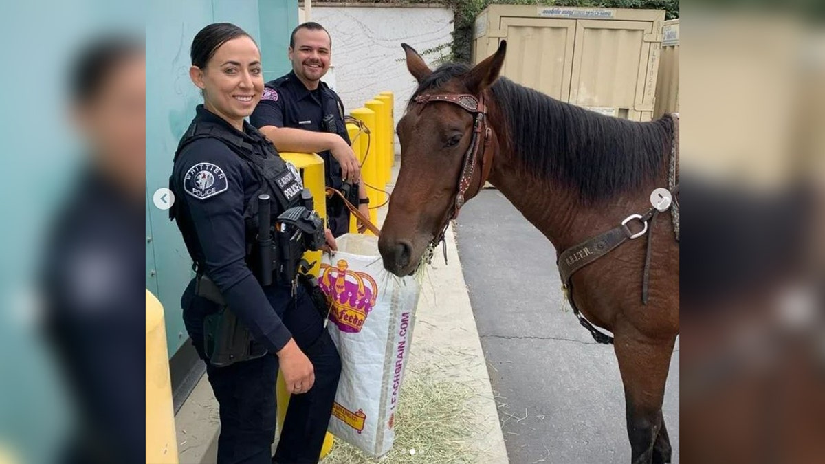 Whitter PD poses with suspect horse