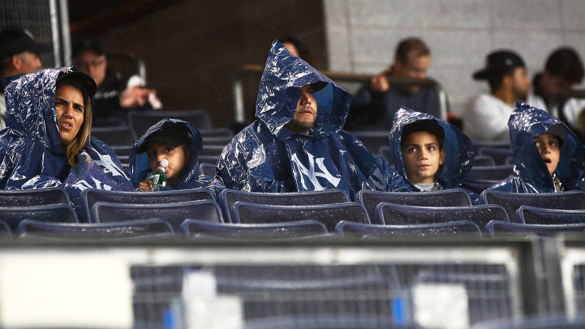 Yankees fans in ponchos weathering the rain