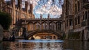 Cambridge University professor resigns after major plagiarism accusations prompt investigation
