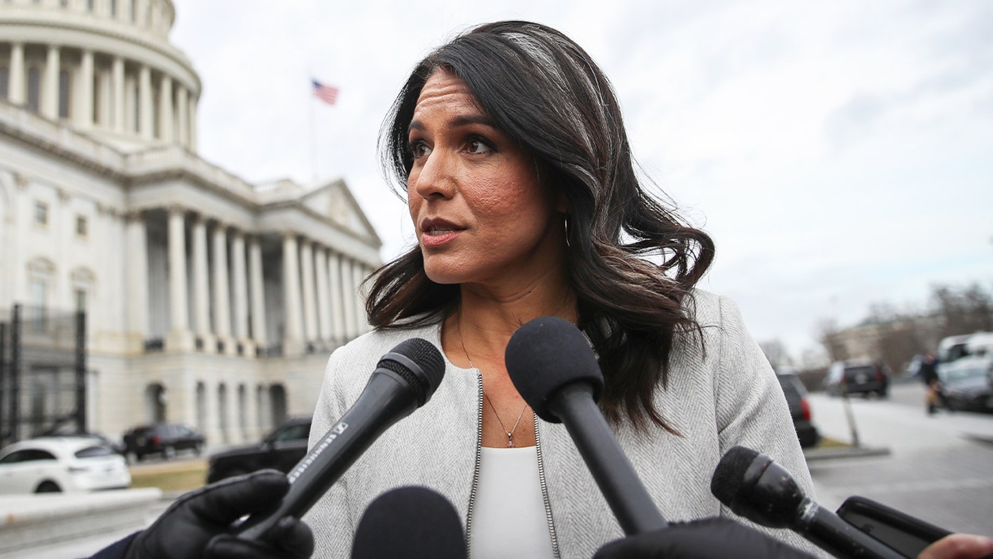 Biden's Policies and Age Concern Voters, Says Tulsi Gabbard