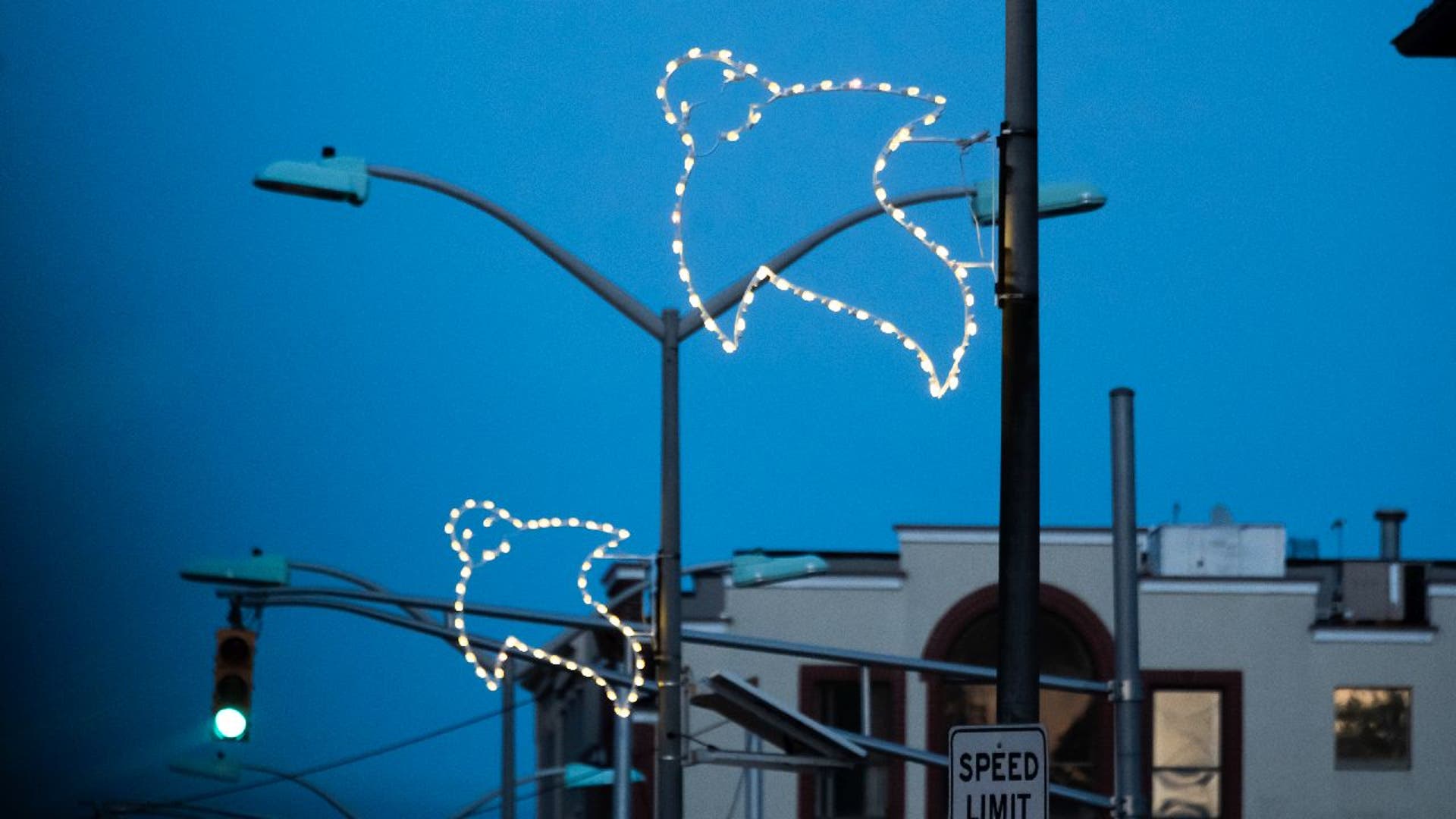 Ghost-shaped string lights