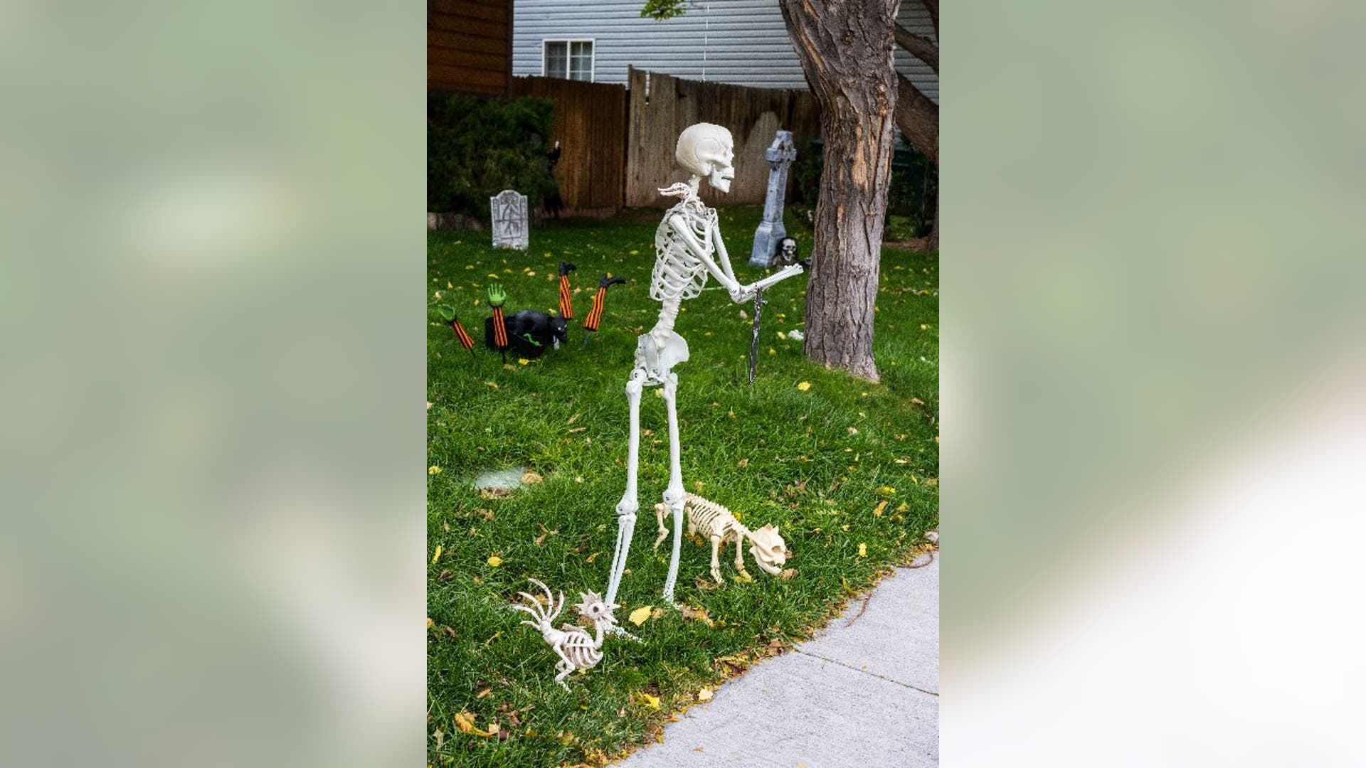 Skeleton figure in yard with skeletal dog and rooster