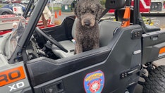 Dog helps Massachusetts police rescue 84-year-old owner who was 'yelling for hours' trapped in 20ft embankment