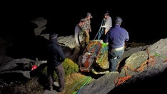 North Carolina flight nurses carry ‘whole blood’ through woods to hiker who fell off mountain, officials say