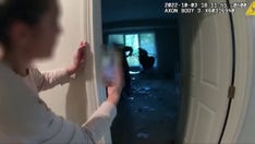 Fowl play: wild turkey causes chaos after breaking into Ohio home