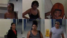 NYC police seek 6 'witnesses' in brutal murder, dismemberment of Brooklyn woman found stuffed into suitcases