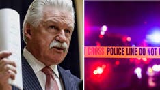 Top Democratic prosecutors revolt against criminal justice reform law they say will 'destroy' Illinois