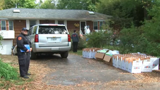 Nearly 300 animals removed from 'noxious' roach-infested New York home; pet owner arrested