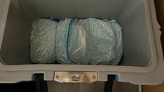 $1.5M worth of drugs seized from vacant Seattle apartment