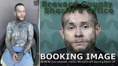 Florida K-9 captures alleged kidnapper hiding under pile of laundry, garbage