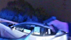 Michigan teen allegedly runs out of gas in stolen Mustang during police chase, jumps off bridge