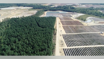 Nebraska solar farm crippled by hail, underscoring power source's fragility