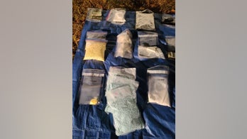 South Carolina authorities seize enough fentanyl to kill 15 million