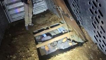 Arizona Border Patrol agents discover 9 illegal immigrants hiding inside cattle trailer