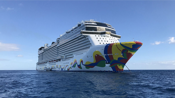 Norwegian Cruise Lines security guard 'used his size and strength' and attacked passenger: lawsuit