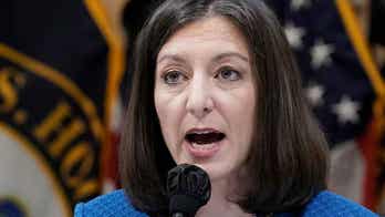 Meet the most vulnerable House members from each party who could be sent packing on Election Day