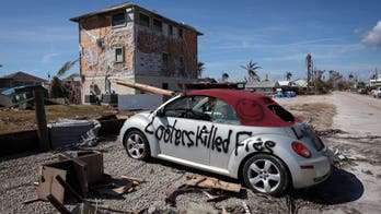 Arrested looters in Lee County were in US illegally, says sheriff: 'Not tolerating it'