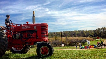 America recruited us to open a farm, then made us self-deport