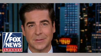 JESSE WATTERS: They'll let anyone run for office nowadays