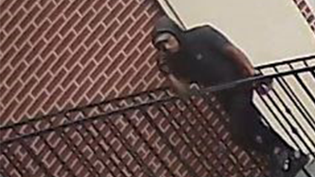 New York man allegedly lured 7-year-old girl into apartment, offered money for sexual act