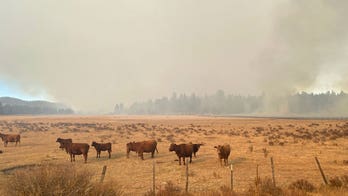 US Forest Service personnel arrested for burn that damaged family's ranch