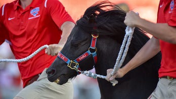 SMU's horse mascot causes unfortunate delay in team's game vs Navy