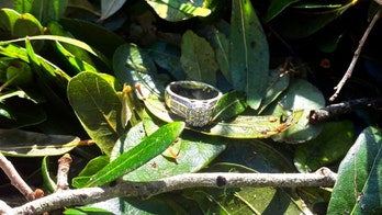 Florida woman finds lost wedding ring after Hurricane Ian