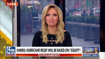 Kayleigh McEnany calls out VP Harris' 'equity' remark on 'Outnumbered': 'I could not believe it'
