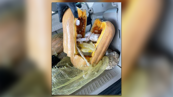 Texas border patrol discovers $402K in liquid meth inside of condom-filled pumpkins