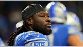 Super Bowl champ LeGarrette Blount throws punches at youth football game, police say
