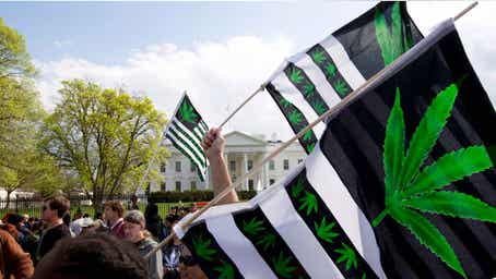 New York Times reverses course on marijuana safety as daily users surge to 18 million