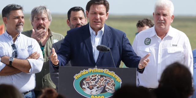 Florida Gov. Ron DeSantis speaks at the annual Florida Python Challenge.