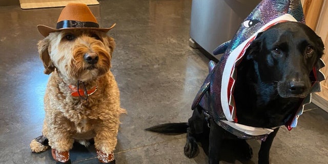 Baker (left) and Aspen (right) are all dressed and ready to celebrate Halloween 2022.