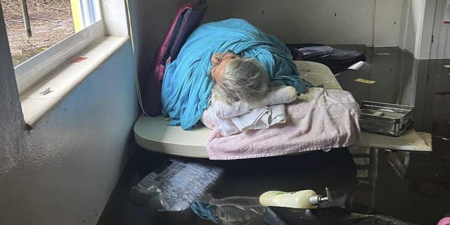 Johnny Lauder's mother, Karen Lauder, 86, lies just above the water line on a table, wrapped in sheets to keep warm after water flooded her home, in Naples, Fla., Wednesday, Sept. 28, 2022, following Hurricane Ian.