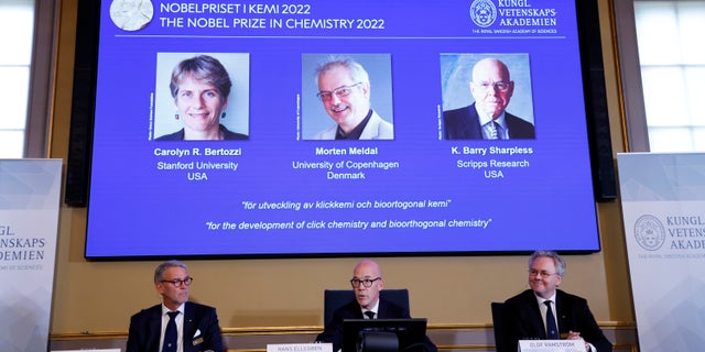 The winners of the 2022 Nobel Prize in Chemistry - Caroline R. Bertozzi of the United States, Morten Meldal of Denmark and K. Barry Sharpless of the United States - are announced during a press conference at the Royal Swedish Academy of Sciences in Stockholm, Sweden, Wednesday, Oct. 5, 2022.
