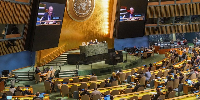 A photo of United Nations ambassadors