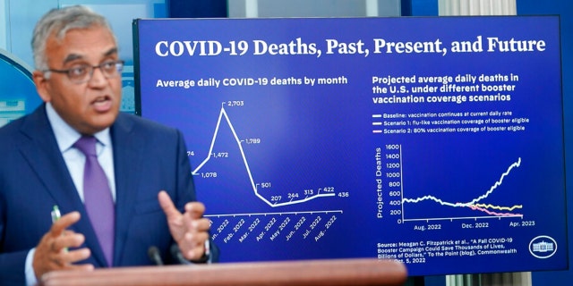 White House COVID-19 Response Coordinator Ashish Jha speaks during the daily briefing at the White House in Washington, D.C., on Tuesday.