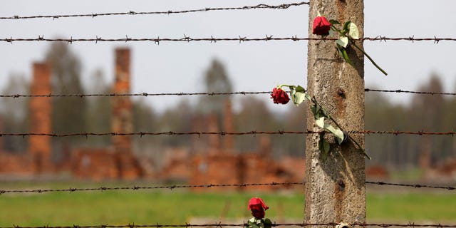 Dried roses are seen in a fence at the site of the former Auschwitz-Birkenau camp during commemorations to honor the victims.