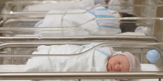 Stock image of newborn babies in a hospital nursery.