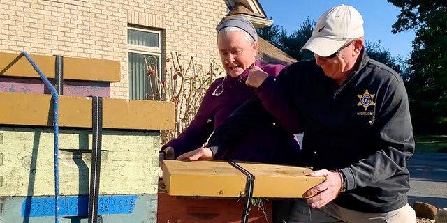 Rorie S. Woods, 55, of Hadley, Mass., left, and a Hampden County Sheriff's Department officer, right, fight for control of containers of bees, in Longmeadow, Mass., on Wednesday, Oct. 12, 2022. 